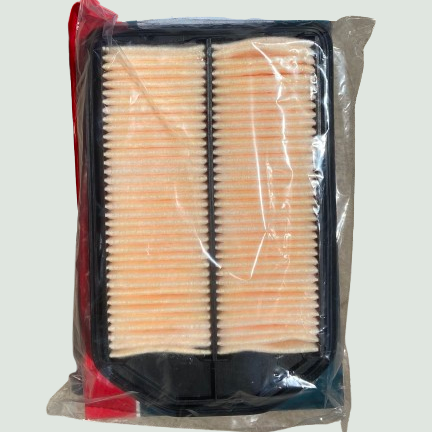 AIR FILTER-895.png
